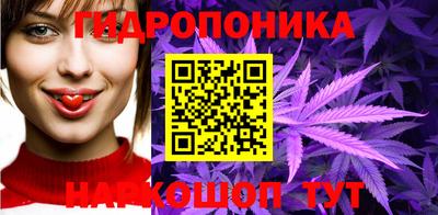 крисы Ипатово