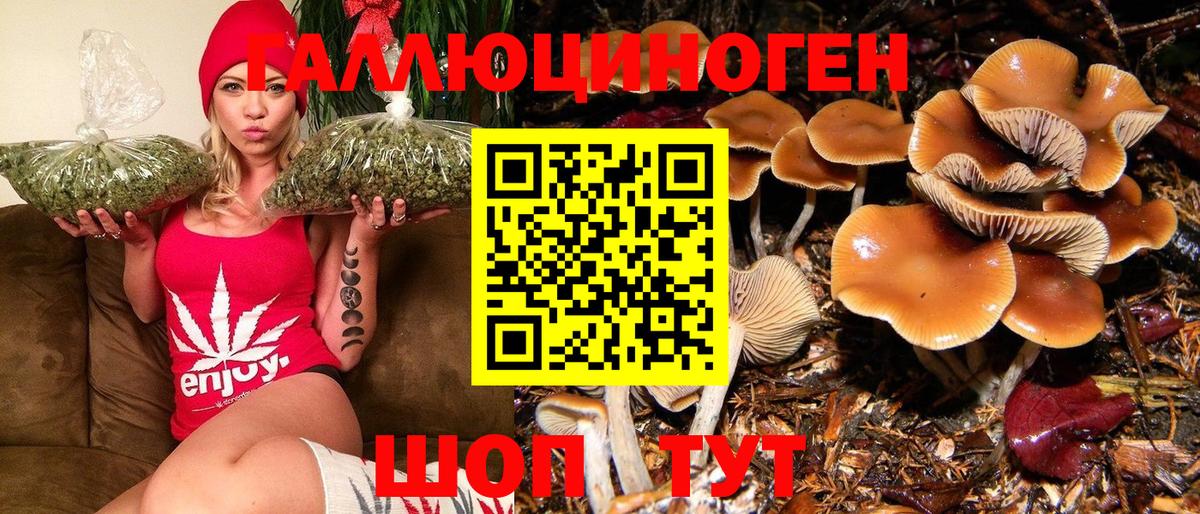 Псилоцибиновые грибы Psilocybe  Псилоцибиновые грибы прущие грибы  Лянтор  купить  сайты  Вход с VPN 
